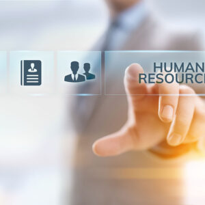 احتراف سياسات الموارد البشرية وهيكل التنظيم الإداري