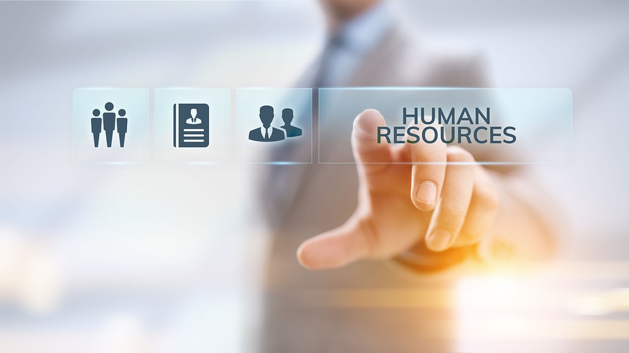 احتراف سياسات الموارد البشرية وهيكل التنظيم الإداري